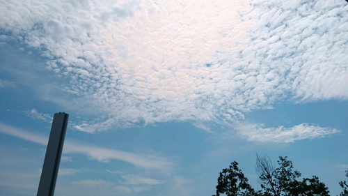 うろこ雲①.jpg