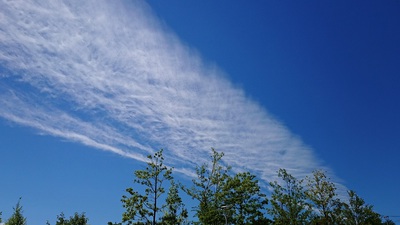 秋の空（すじ雲①）.jpg