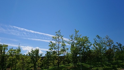 秋の空（すじ雲②）.jpg