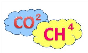 CO2.CH4.jpg