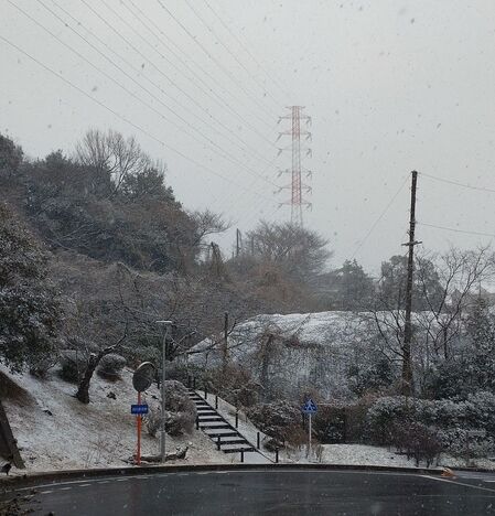 R5初雪①.jpg